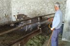 Sarayköy karasinekle mücadele