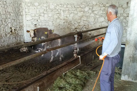 Sarayköy karasinekle mücadele
