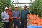 Tavas’ta hasat başladı