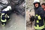 Kuyuya düşen tilkiyi itfaiye kurtardı
