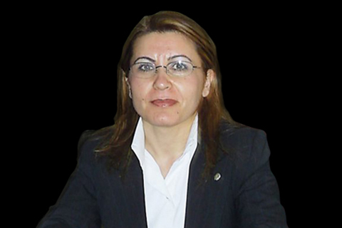 CHP’li Gülizar Biçer Karaca, “Lozan ile elde edilen kazanımlar yok ediliyor”