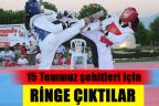 Demokrasi şehitleri için ringe çıktılar
