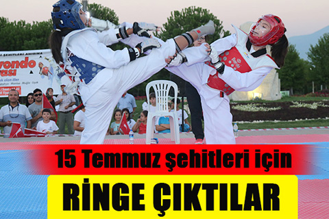 Demokrasi şehitleri için ringe çıktılar