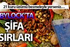 FETÖ/PDY sanığı Bylock’ta mütevelli üyelerine sağlık sırları vermiş