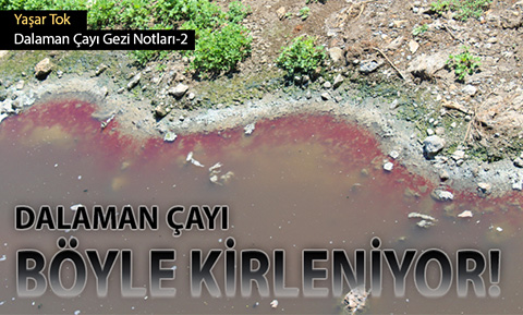 Dalaman Çayı nasıl kirleniyor?