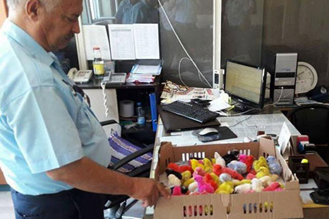 Çivril Zabıta Ekipleri boyalı civciv satışına “dur” dedi