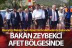 Ekonomi Bakanı Serinhisar’da incelemelerde bulundu