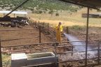 Tavas kurban hazırlıklarını tamamladı