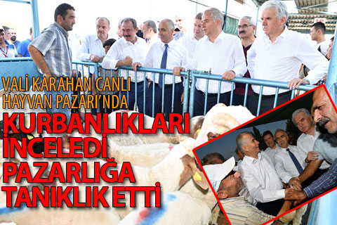 Vali Karahan Canlı Hayvan Pazarı’nda incelemelerde bulundu