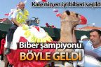 Biber şampiyonu, biber süslü deveyle geldi