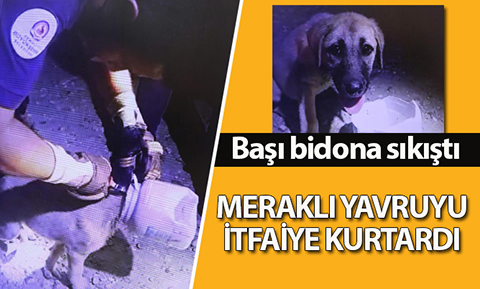 Yardımına itfaiye yetişti