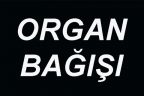 Organları başka bedenlerde can bulacak