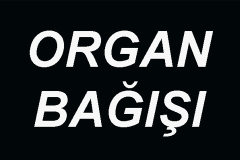 Organları başka bedenlerde can bulacak