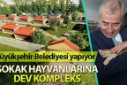 Büyükşehir Belediyesi, sokak hayvanları için tedavi ve rehabilitasyon kompleksi yapıyor