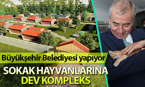 Büyükşehir Belediyesi, sokak hayvanları için tedavi ve rehabilitasyon kompleksi yapıyor