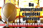 Devekuşu yumurtası, tarihi camide öyle bir görev yapıyor ki; İnanamayacaksınız