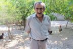 Tatile gitti, tavukları çalındı