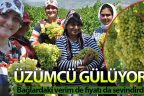 Buldan’da sofralık üzüm yetiştiricileri çok mutlu