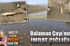 Dalaman çayının imdat çığlığı!