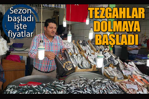 Sezon açıldı, tezgahlar dolmaya başladı