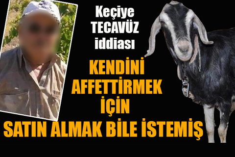 Bekilli’de keçiye tecavüz iddiası