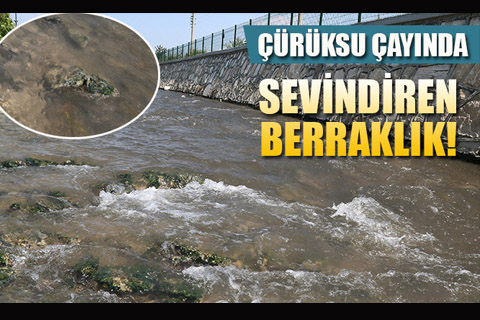 Çürüksu Çayı doğal rengine döndü