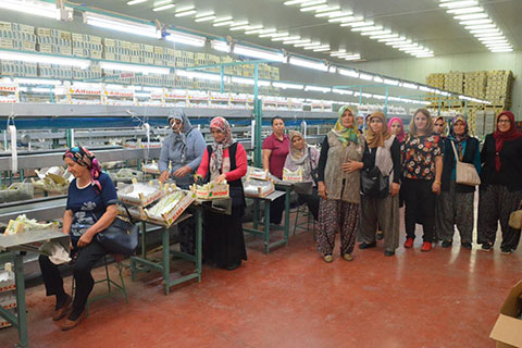 Toprağın Sultanları Denizli’de