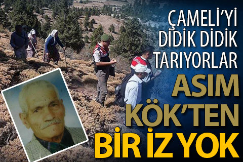 Asın Kök’ün bulunması için Çameli didik didik aranıyor