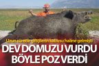 Avcı dev domuzu vurdu, çiftçiler rahat nefes aldı