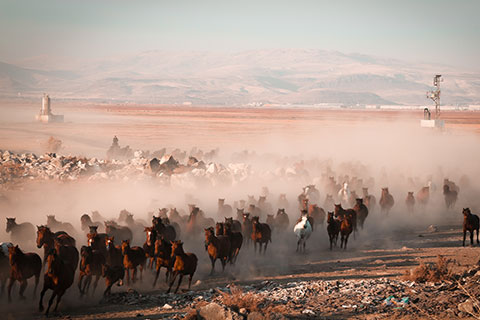 Doğa’ya MILSET’ten 13 madalya