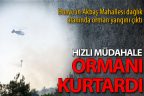 Honaz’ın Akbaş Mahallesi’nde orman yangını çıktı