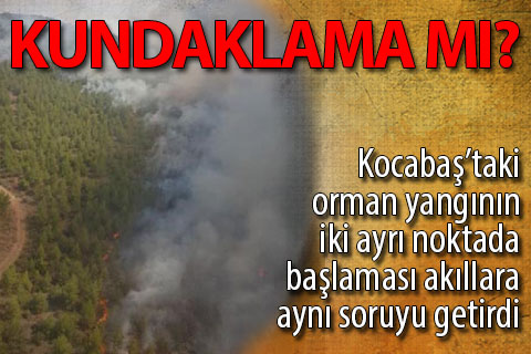 Honaz’daki orman yangını kontrol altına alındı
