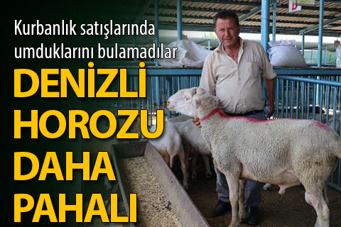 Kurbanlık satıcıları: Denizli horozu kurbanlıktan pahalı hale geldi