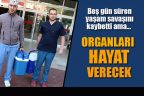 Organları hayat verecek