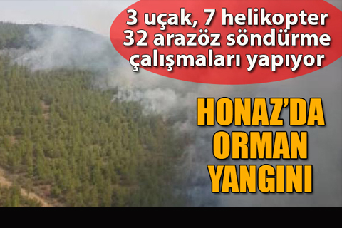 Honaz’da, öğle saatlerinde orman yangını