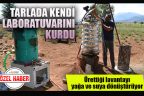 Tarlada ürettiği lavantalardan, kendi kurduğu küçük laboratuvarında yağını ve suyunu elde ediyor