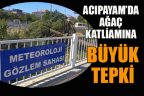 Acıpayam’da yeşil ve yaş ağaçların kesilmesi büyük tepki çekti