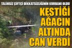 Çameli’de çiftçi kestiği ağacın altında kalarak can verdi