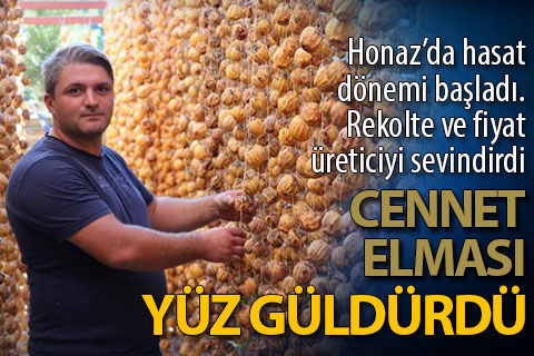 ‘Cennet elması’, üreticinin yüzünü güldürüyor