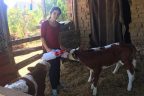 Genç Çiftçi Hibe Projesi yüzleri güldürdü
