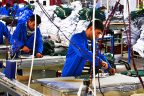Denizli’de istihdam artışı bekleniyor