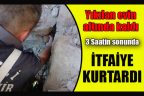Yıkılan evin altında kalan kediyi itfaiye kurtardı