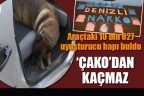 Araçtaki 10 bin 627 uyuşturucu hapı ‘Çako’ buldu