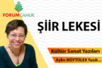 ŞİİR LEKESİ