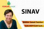 SINAV