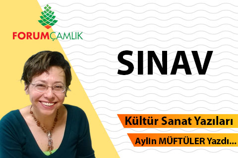 SINAV