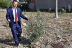 Buldan’daki Soma zeytinleri büyüyor