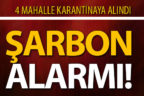 4 mahallede şarbon karantinası