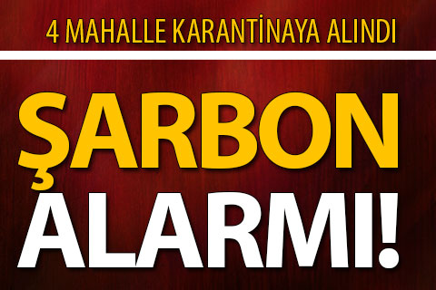 4 mahallede şarbon karantinası