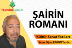ŞAİRİN ROMANI